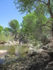 photo thumbnail #9