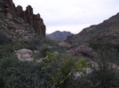 photo thumbnail #1