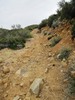 photo thumbnail #14