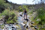 photo thumbnail #5