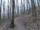 photo thumbnail #8