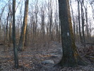 photo thumbnail #10