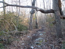 photo thumbnail #13