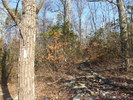 photo thumbnail #15