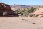 photo thumbnail #10