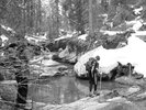 photo thumbnail #6