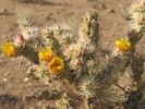 photo thumbnail #2
