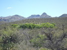photo thumbnail #5
