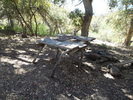 photo thumbnail #11