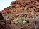 photo thumbnail #7