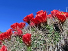 photo thumbnail #10