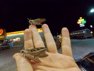 photo thumbnail #3