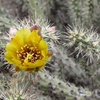 photo thumbnail #1
