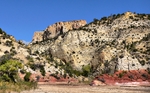 photo thumbnail #8