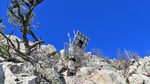 photo thumbnail #14