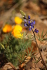 photo thumbnail #14