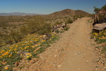 photo thumbnail #8