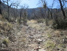photo thumbnail #5