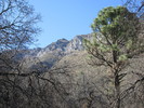 photo thumbnail #15