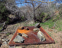 photo thumbnail #5