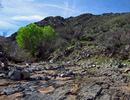 photo thumbnail #7