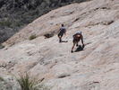 photo thumbnail #13