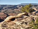 photo thumbnail #10