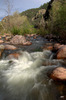 photo thumbnail #15