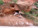 photo thumbnail #13