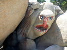 photo thumbnail #9