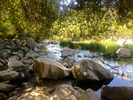 photo thumbnail #2