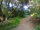 photo thumbnail #14