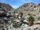 photo thumbnail #8