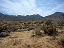photo thumbnail #1