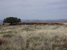 photo thumbnail #13