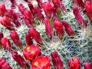 photo thumbnail #7
