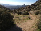 photo thumbnail #3