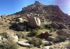 photo thumbnail #5