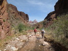 photo thumbnail #6
