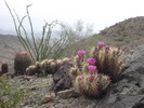photo thumbnail #3