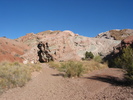 photo thumbnail #3