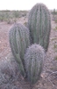 photo thumbnail #10