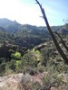 photo thumbnail #13