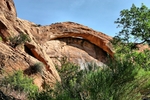 photo thumbnail #5