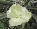 photo thumbnail #14