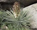 photo thumbnail #15