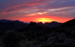 photo thumbnail #5