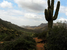 photo thumbnail #8