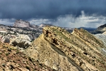 photo thumbnail #6