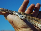 photo thumbnail #11